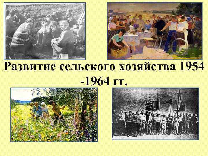 Развитие сельского хозяйства 1954 1964 гг. 