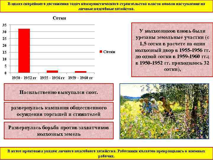 В целях скорейшего достижения задач коммунистического строительства власти повели наступление на личные подсобные хозяйства.