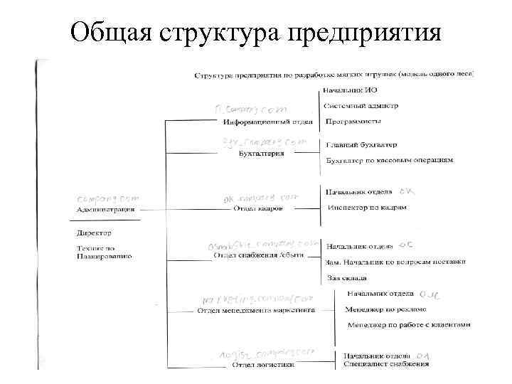 Общая структура предприятия 