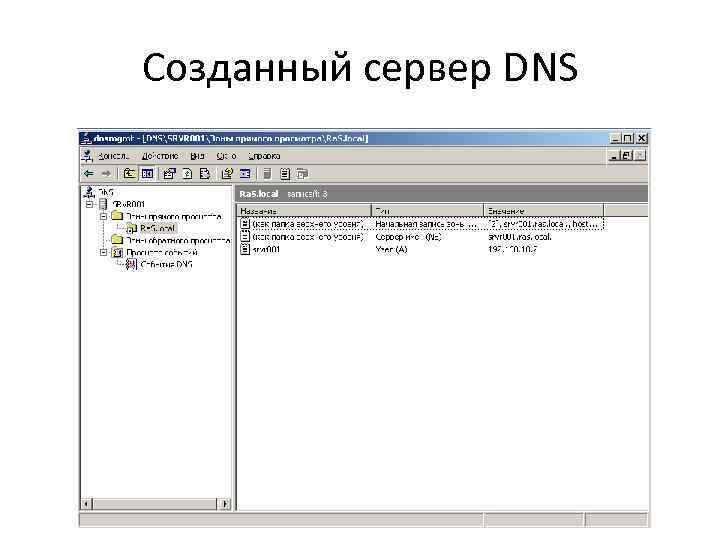 Созданный сервер DNS 