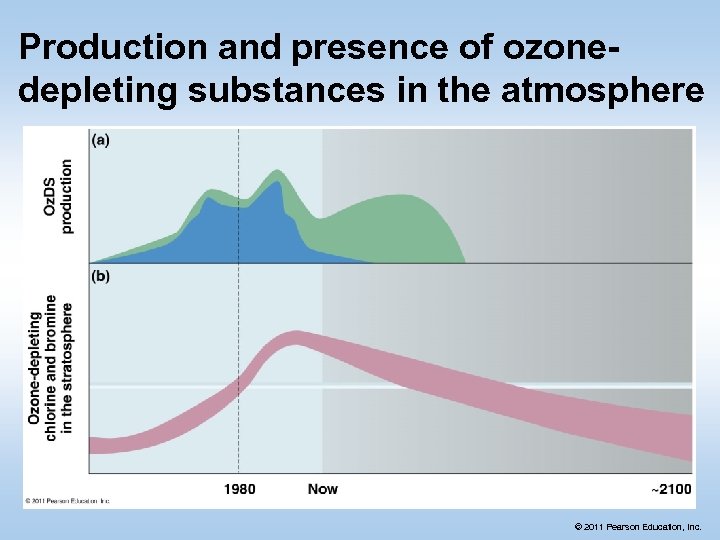 Production and presence of ozonedepleting substances in the atmosphere © 2011 Pearson Education, Inc.