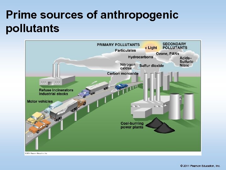 Prime sources of anthropogenic pollutants © 2011 Pearson Education, Inc. 