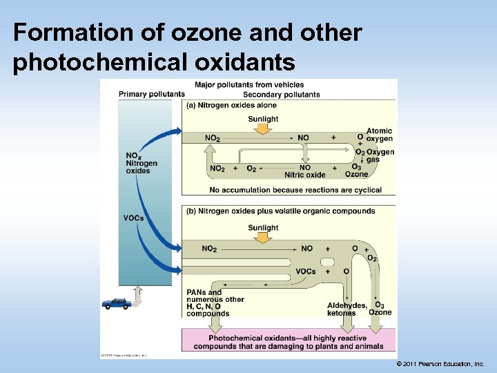 Formation of ozone and other photochemical oxidants © 2011 Pearson Education, Inc. 