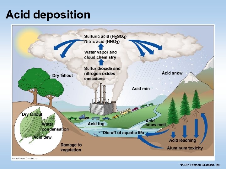 Acid deposition © 2011 Pearson Education, Inc. 