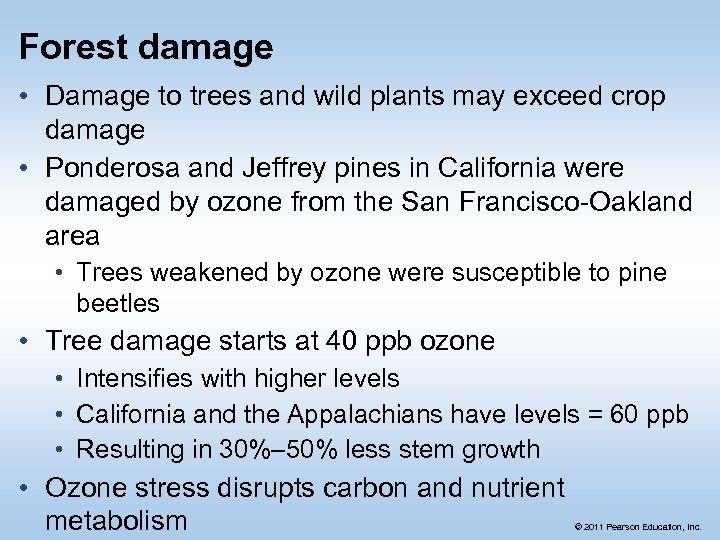 Forest damage • Damage to trees and wild plants may exceed crop damage •