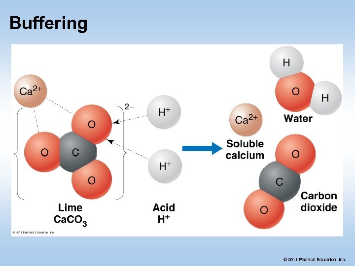 Buffering © 2011 Pearson Education, Inc. 