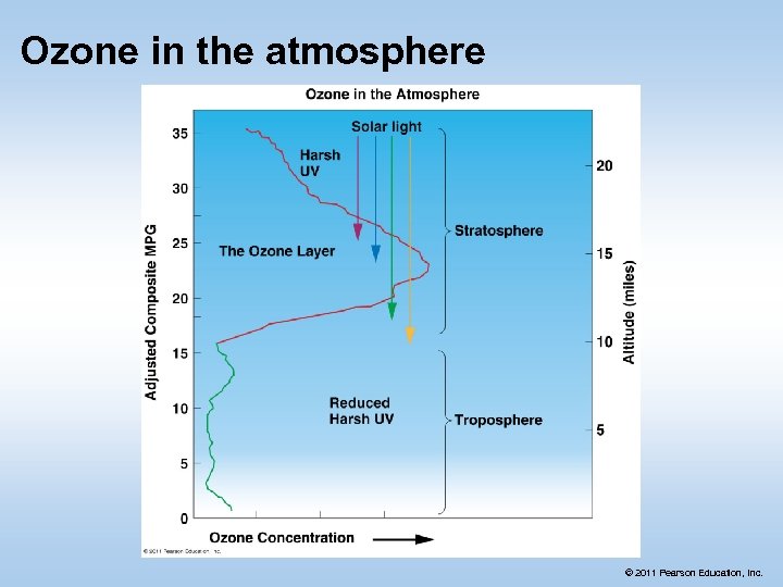 Ozone in the atmosphere © 2011 Pearson Education, Inc. 