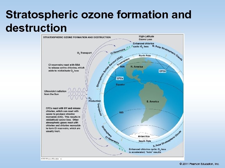 Stratospheric ozone formation and destruction © 2011 Pearson Education, Inc. 