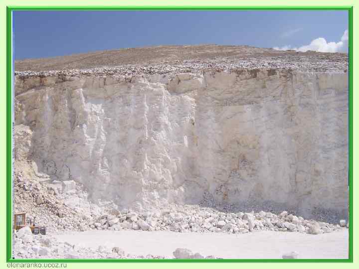 Багато морських організмів нагромаджують у своїх скелетах, панцирах, мушлях сполуки кальцію, кремнію, фосфору. На