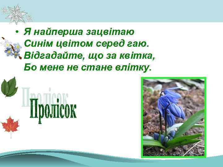  • Я найперша зацвітаю Синім цвітом серед гаю. Відгадайте, що за квітка, Бо