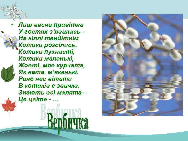 • Лиш весна привітна У гостях з’явилась – На гіллі тендітнім Котики розсілись.