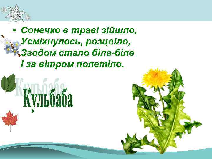  • Сонечко в траві зійшло, Усміхнулось, розцвіло, Згодом стало біле-біле І за вітром