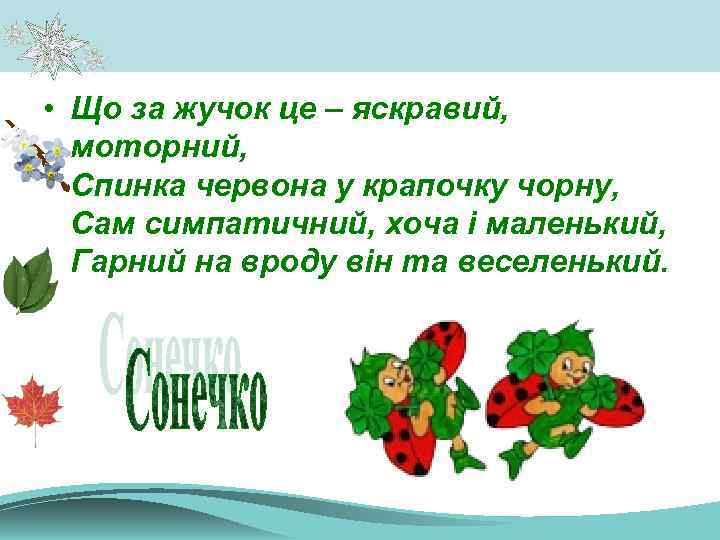  • Що за жучок це – яскравий, моторний, Спинка червона у крапочку чорну,