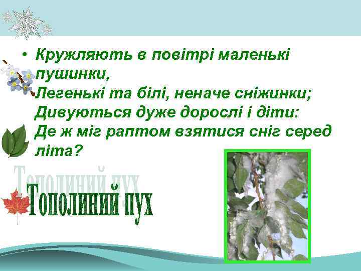  • Кружляють в повітрі маленькі пушинки, Легенькі та білі, неначе сніжинки; Дивуються дуже