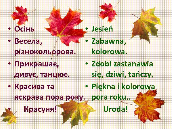  • Осінь • • Весела, • різнокольорова. • Прикрашає, • дивує, танцює. •