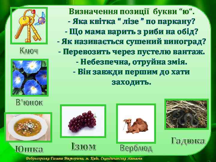 Ключ Визначення позиції букви “ю“. - Яка квітка “ лізе ” по паркану? -