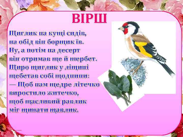 ВІРШ Щиглик на кущі сидів, на обід він борщик їв. Ну, а потім на