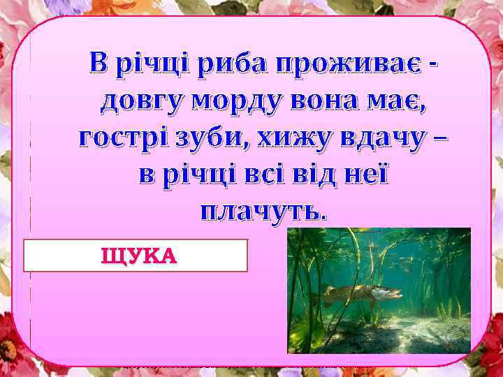 В річці риба проживає довгу морду вона має, гострі зуби, хижу вдачу – в