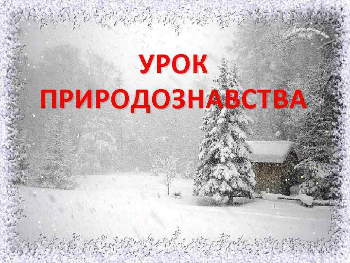 УРОК ПРИРОДОЗНАВСТВА 