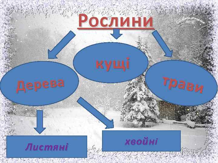 Рослини Дерева Листяні кущі хвойн і трави 