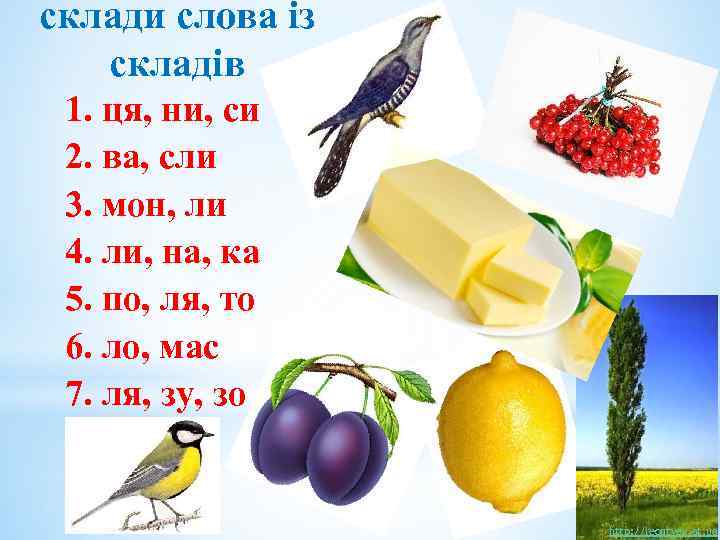 склади слова із складів 1. ця, ни, си 2. ва, сли 3. мон, ли