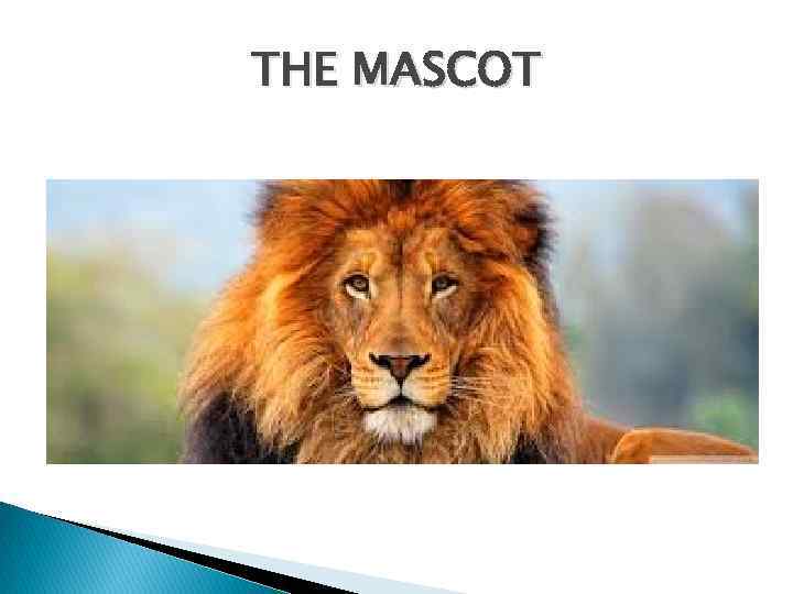 THE MASCOT 