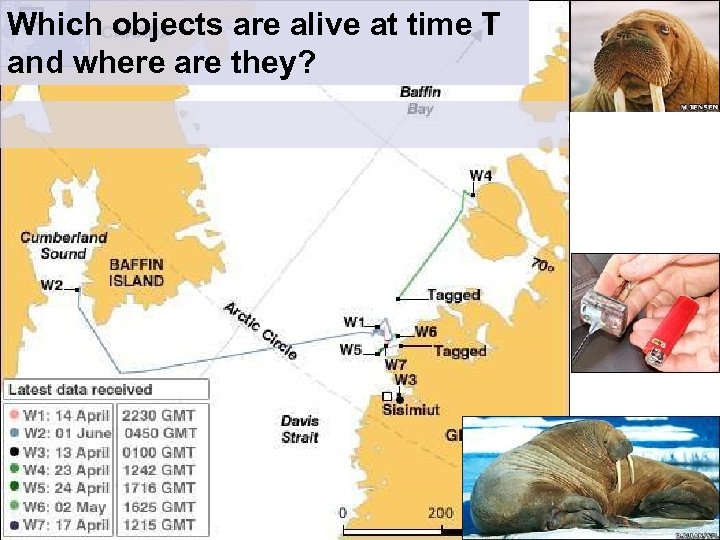 Which objects are alive at time T and where are they? 
