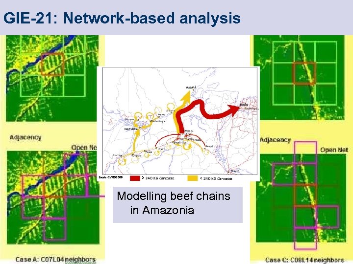GIE-21: Network-based analysis Modelling beef chains in Amazonia 