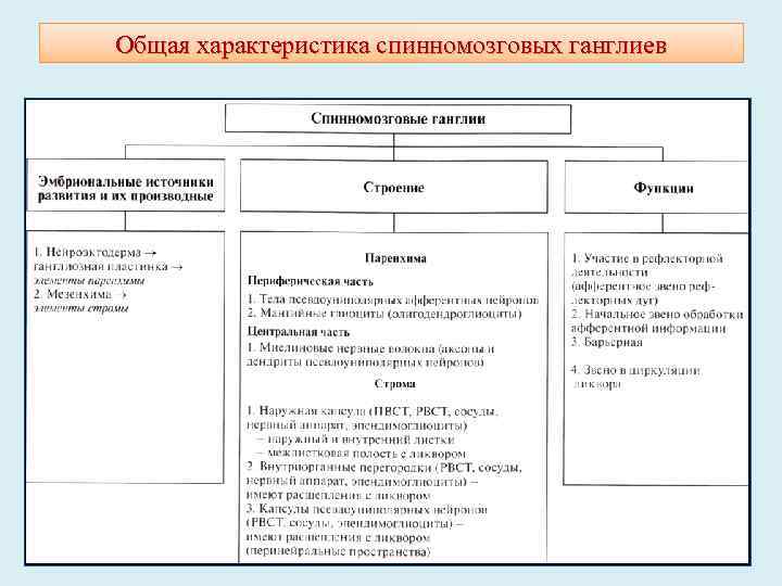 Общая характеристика спинномозговых ганглиев 