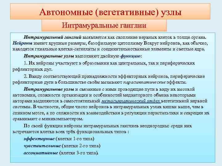 Автономные (вегетативные) узлы Интрамуральные ганглии Интрамуральный ганглий выявляется как скопление нервных клеток в толще