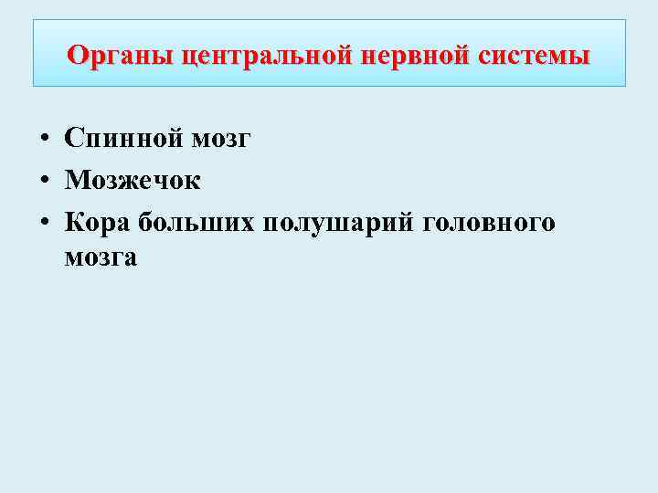 Органы центральной нервной системы • Спинной мозг • Мозжечок • Кора больших полушарий головного