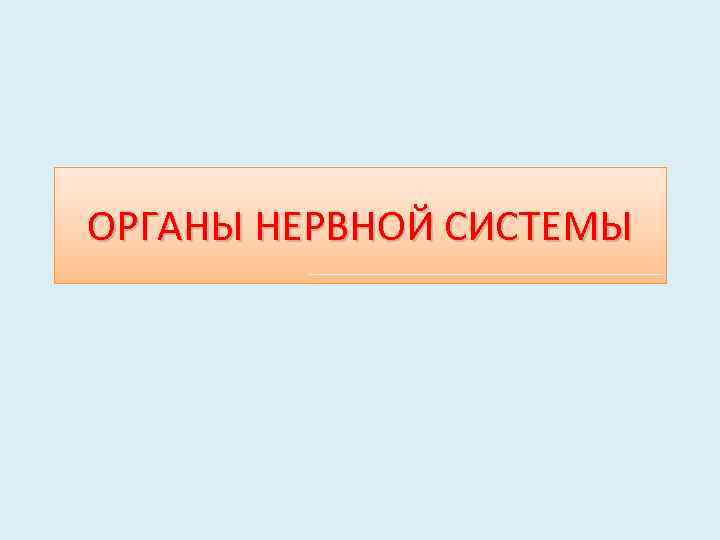 ОРГАНЫ НЕРВНОЙ СИСТЕМЫ 