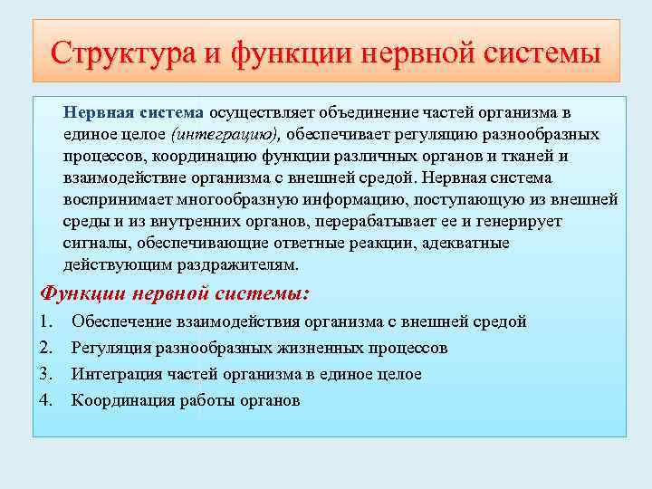 Структура и функции нервной системы Нервная система осуществляет объединение частей организма в единое целое
