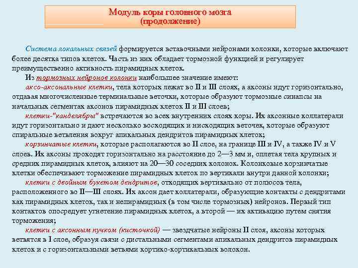 Модуль коры головного мозга (продолжение) Система локальных связей формируется вставочными нейронами колонки, которые включают