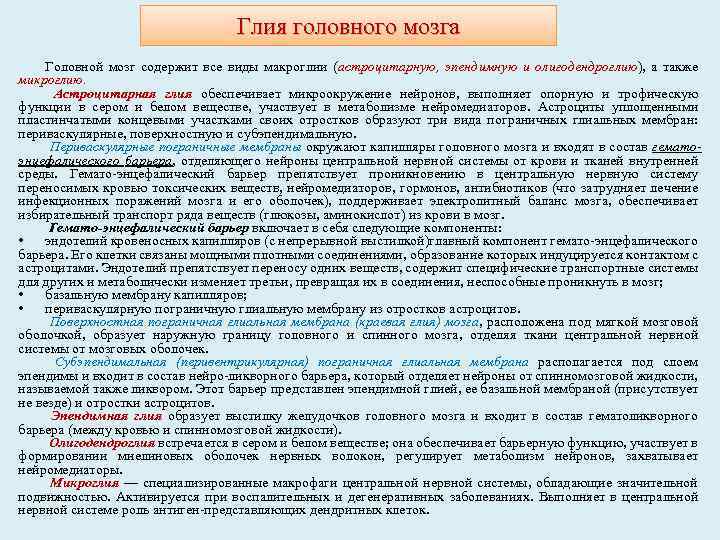 Глия головного мозга Головной мозг содержит все виды макроглии (астроцитарную, эпендимную и олигодендроглию), а
