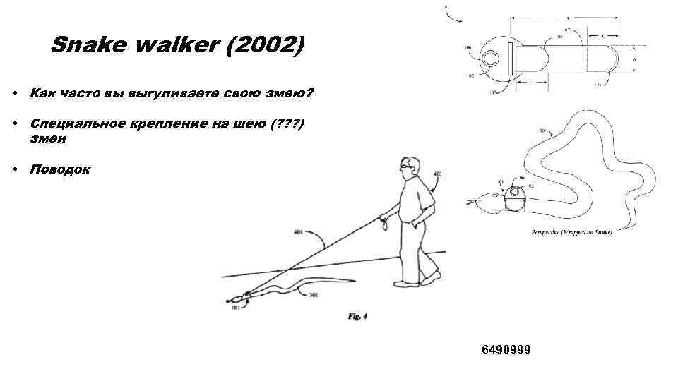 Snake walker (2002) • Как часто вы выгуливаете свою змею? • Специальное крепление на