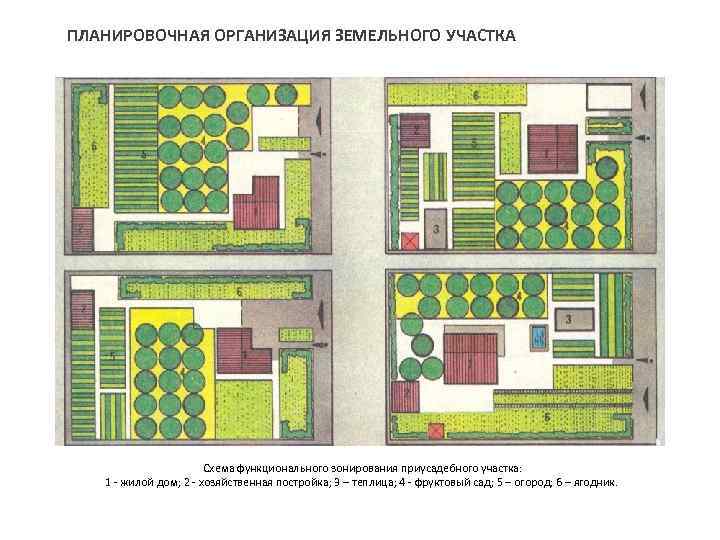 ПЛАНИРОВОЧНАЯ ОРГАНИЗАЦИЯ ЗЕМЕЛЬНОГО УЧАСТКА Схема функционального зонирования приусадебного участка: 1 - жилой дом; 2