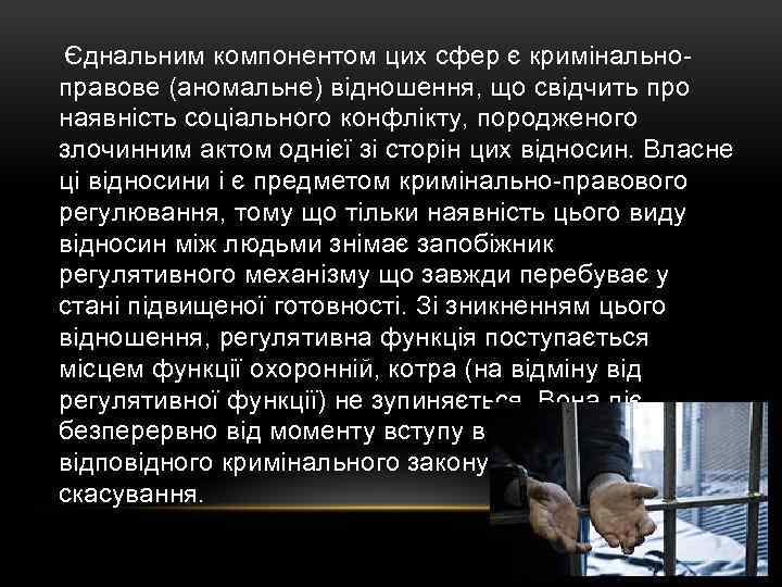  Єднальним компонентом цих сфер є кримінально- правове (аномальне) відношення, що свідчить про наявність