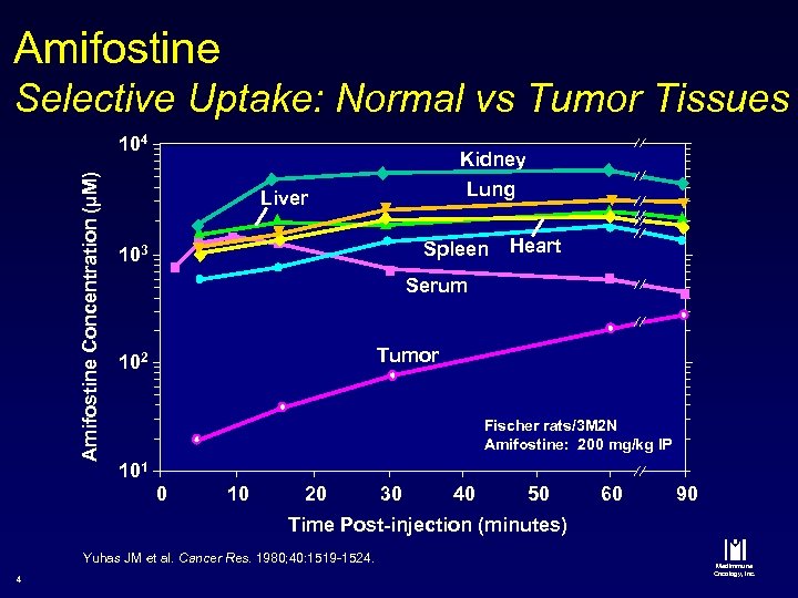 Amifostine Selective Uptake: Normal vs Tumor Tissues Amifostine Concentration (µM) 104 Kidney Lung Liver