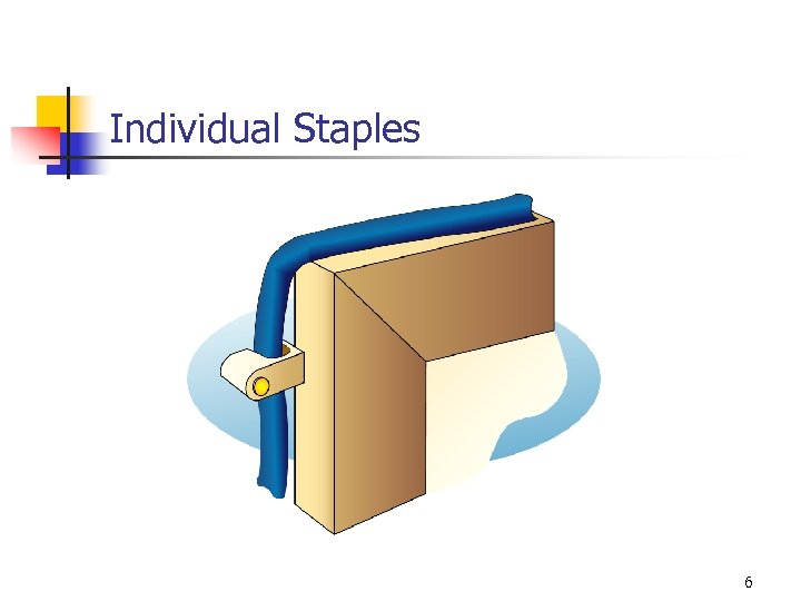 Individual Staples 6 