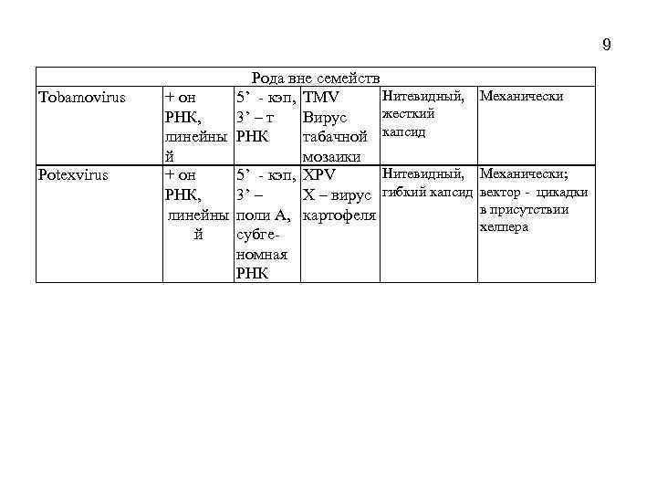 9 Tobamovirus Potexvirus Рода вне семейств Нитевидный, + он 5’ - кэп, TMV жесткий
