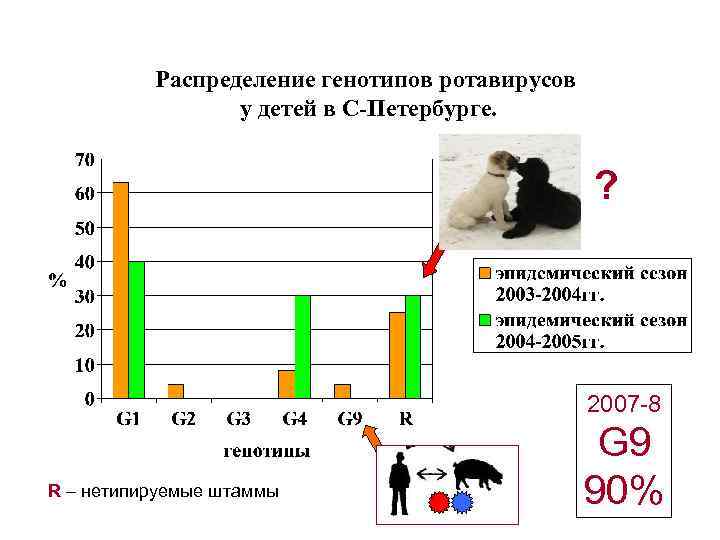 Распределение генотипов ротавирусов у детей в С-Петербурге. ? 2007 -8 R – нетипируемые штаммы