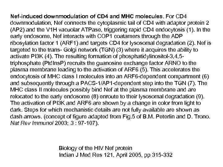 Nef-induced downmodulation of CD 4 and MHC molecules. For CD 4 downmodulation, Nef connects