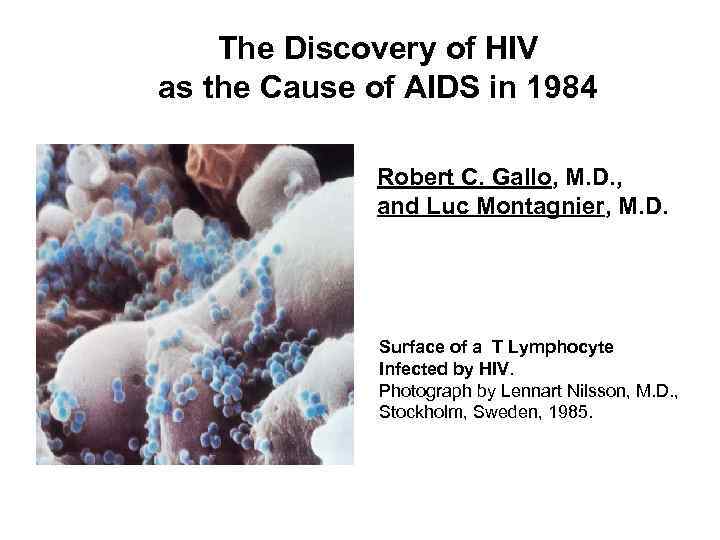 The Discovery of HIV as the Cause of AIDS in 1984 Robert C. Gallo,