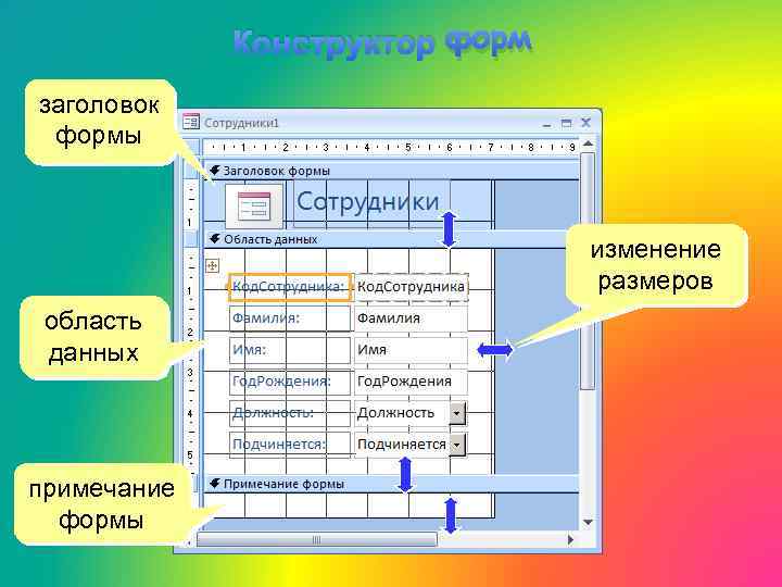 Конструктор форм заголовок формы изменение размеров область данных примечание формы 