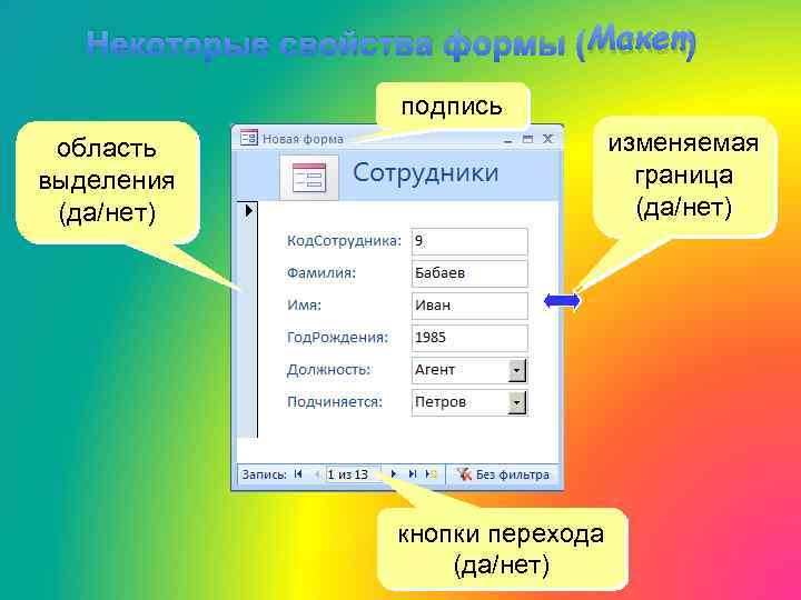 Некоторые свойства формы (Макет) подпись изменяемая граница (да/нет) область выделения (да/нет) кнопки перехода (да/нет)