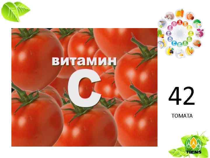 42 ТОМАТА 