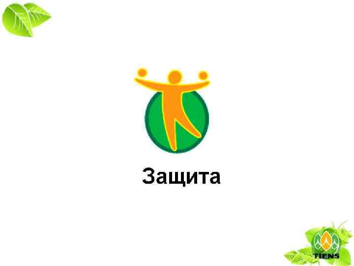 Восстановление ость Защита 