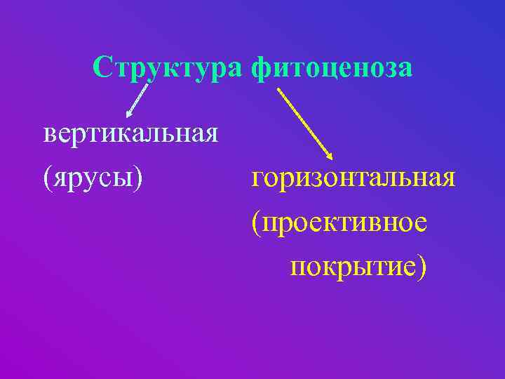 Вертикальная структура. Структура фитоценоза. Горизонтальная структура фитоценоза. Вертикальная и горизонтальная структура фитоценоза. Горизонтальное строение фитоценоза.