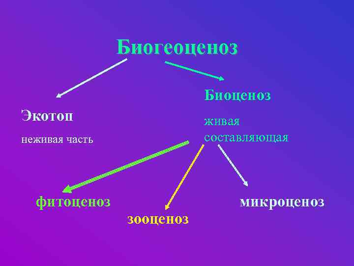 Биогеоценоз Биоценоз Экотоп живая составляющая неживая часть фитоценоз зооценоз микроценоз 